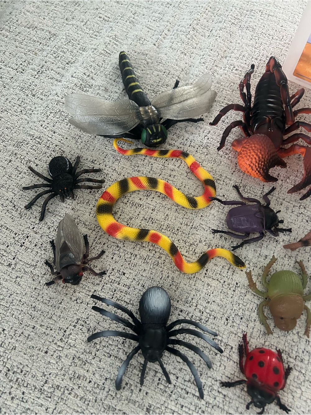 Insect Adventure Toy Set - Assorted Colors - Picture 2 of 7
